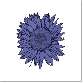 Very Peri Periwinkle Blue Sunflower Floral Drawing Posters and Art